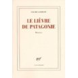 Critique – Le lièvre de Patagonie – Claude Lanzmann