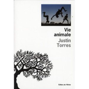 Critique – Vie animale – Justin Torres