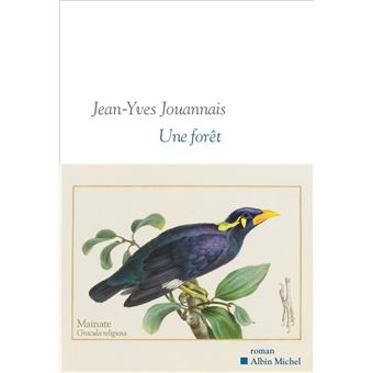 Critique – Une forêt – Jean-Yves Jouannais – Albin Michel