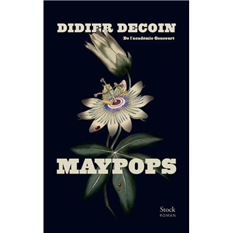 Critique – Maypops – Didier Decoin – Stock