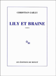 Critique – Lily et Braine – Christian Gailly